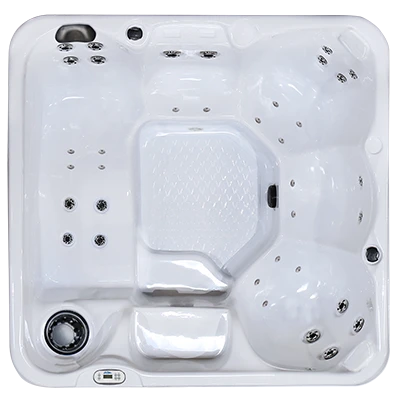 Hawaiian PZ-636L hot tubs for sale in Dubuque